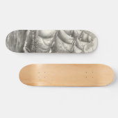 Skateboard Constitution américaine (Horz)