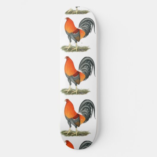 Skateboard Coq de combat bleu rouge (Recto)