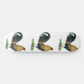 Skateboard Coq de combat : Dom ou Crele (Horz)