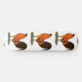Skateboard Coq de combat Ginger Rouge (Horz)