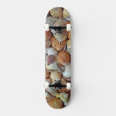 Skateboard Coques de mer (Recto)