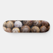 Skateboard Coques des escargots (Horz)