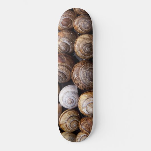 Skateboard Coques des escargots (Recto)