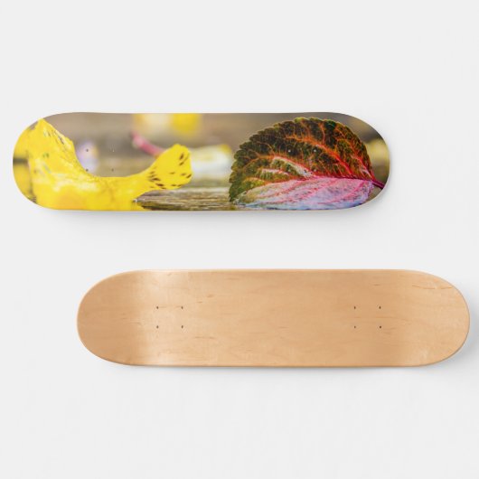 Skateboard Couleurs d'automne (Horz)