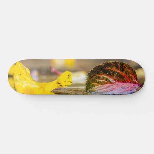 Skateboard Couleurs d'automne (Horz)