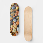 Skateboard Courges Colorées A (Recto)