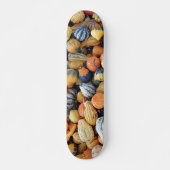 Skateboard Courges Colorées A (Devant)