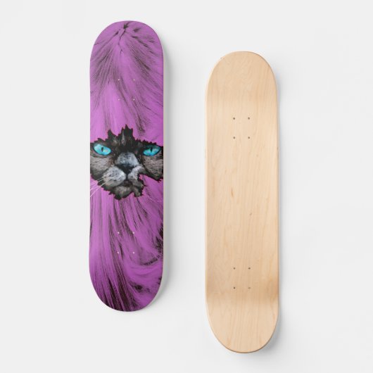 Skateboard Crazy Cat (Recto)