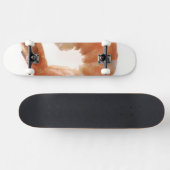 Skateboard Crevette cookée (Horz)