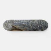 Skateboard Crocodiles (Horz)