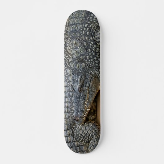 Skateboard Crocodiles (Devant)