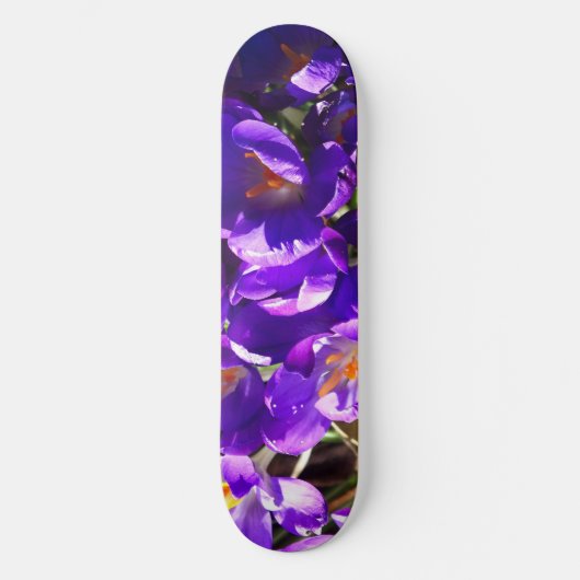 SKATEBOARD CROCUS DE PRINTEMPS (Recto)