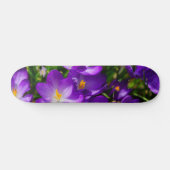 Skateboard Crocus Lilac (Horz)