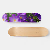 Skateboard Crocus Lilac (Horz)