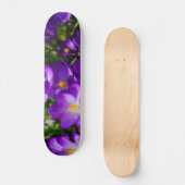 Skateboard Crocus Lilac (Recto)