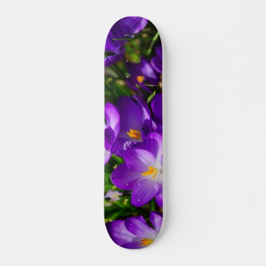 Skateboard Crocus Lilac (Devant)