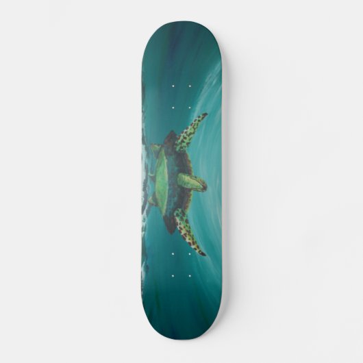 Skateboard Croisement de tortue (Recto)