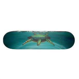 Skateboard Croisement de tortue