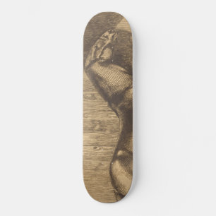 Skateboard Croquis d'un poney (par Paul-Albert Besnard)