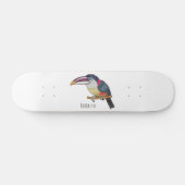 Skateboard Curl crested aracari bird cartoon (Horz)