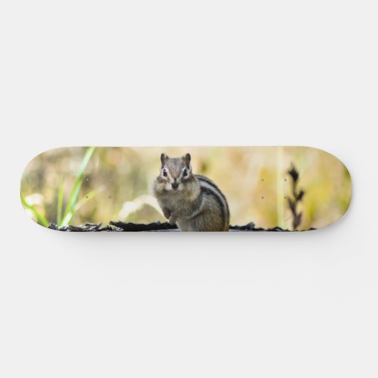 Skateboard Cute Chipmunk (Horz)