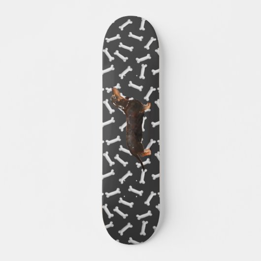 Skateboard Dachshund wiener dog (Devant)