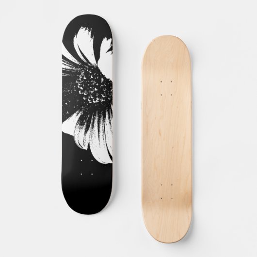 Skateboard Daisy (Recto)