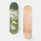 Skateboard Daisy Meadow (Recto)