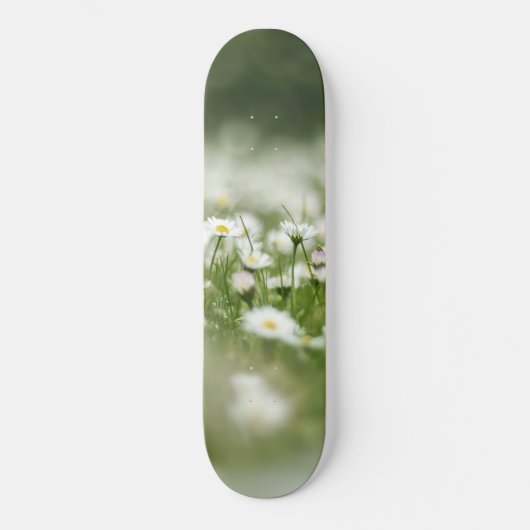Skateboard Daisy Meadow (Recto)
