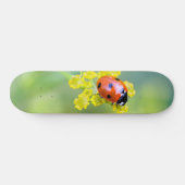 Skateboard dame sur le dessus (Horz)