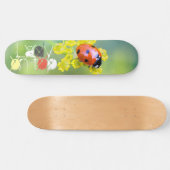 Skateboard dame sur le dessus (Horz)
