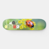 Skateboard dame sur le dessus (Horz)
