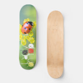 Skateboard dame sur le dessus (Recto)