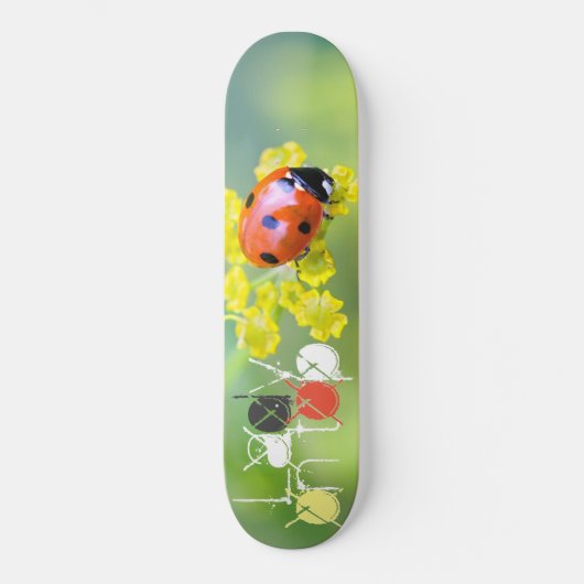 Skateboard dame sur le dessus (Recto)