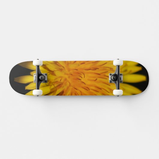 Skateboard Dandelion Flower sdcna (Horz)