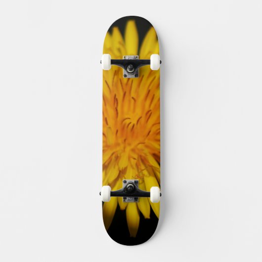 Skateboard Dandelion Flower sdcna (Recto)