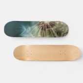 Skateboard - Dandelion Seeds (Horz)