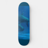 Skateboard Dauphin (Recto)