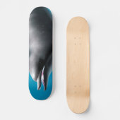 Skateboard Dauphin souriant (Recto)