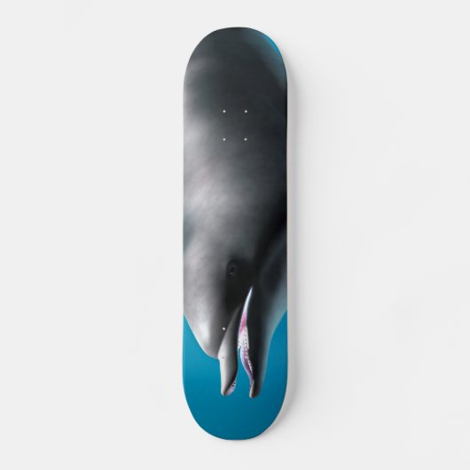 Skateboard Dauphin souriant (Recto)
