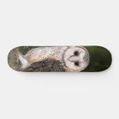 Skateboard de la chouette de l'Ouest (Horz)