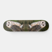Skateboard de la chouette de l'Ouest (Horz)