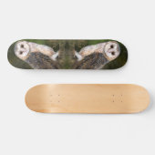 Skateboard de la chouette de l'Ouest (Horz)