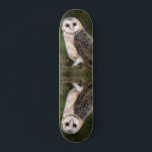 Skateboard de la chouette de l'Ouest<br><div class="desc">Chouette de l'Ouest - Migned Aquarelle Peinture Art Belle Forêt Oiseau</div>