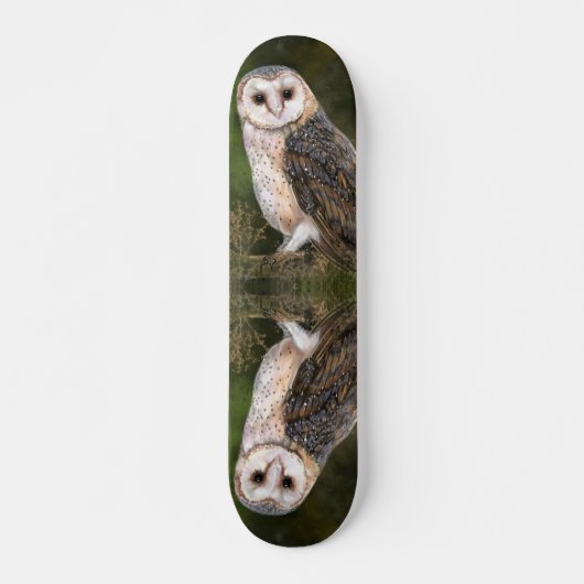 Skateboard de la chouette de l'Ouest (Devant)