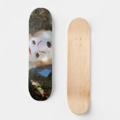 Skateboard de Mugen Corghees (Recto)