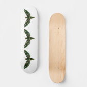 Skateboard Deilephila Nerii - Oleander Hawk-Moth (Recto)