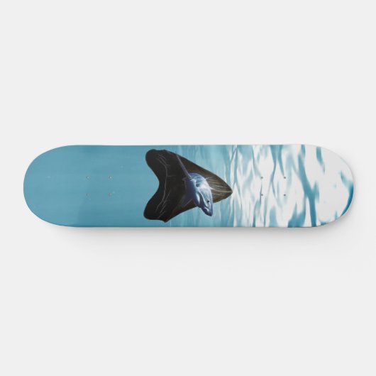 Skateboard dent de requin (Horz)
