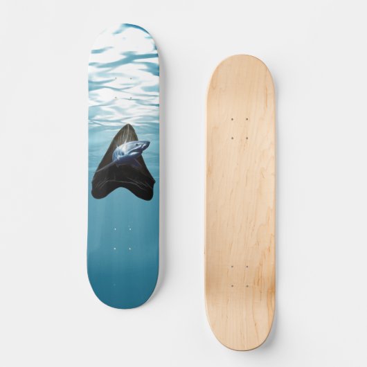Skateboard dent de requin (Recto)