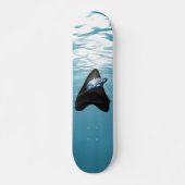 Skateboard dent de requin (Devant)